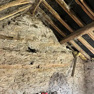 rafters