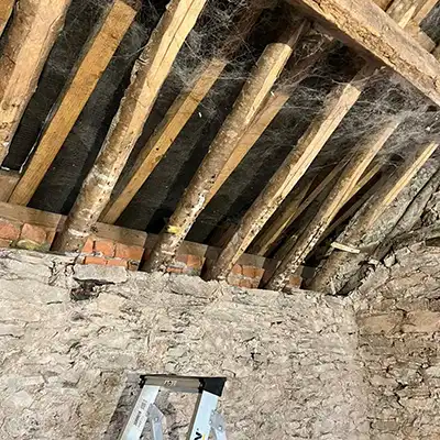 old rafters