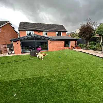 dog in the garden